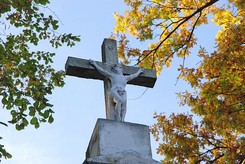 dsc_0061.jpg