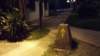 _222831_hdr_small.jpg