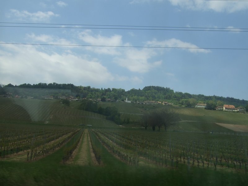 francja071.jpg