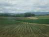 francja082_small.jpg