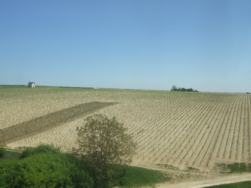 francja194.jpg