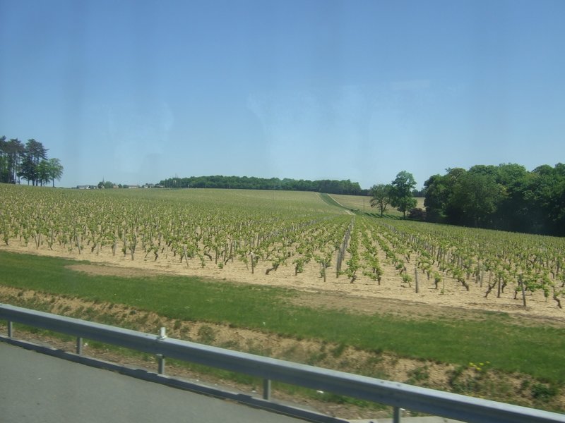 francja195.jpg
