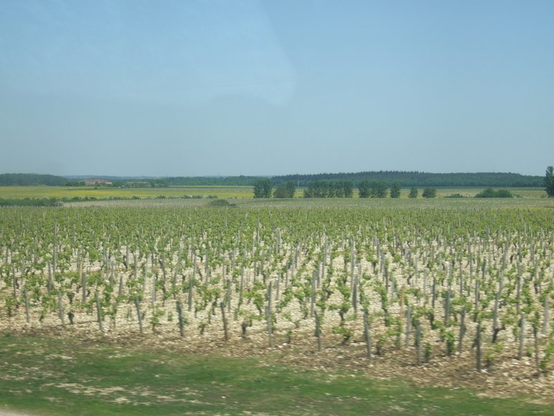 francja197.jpg