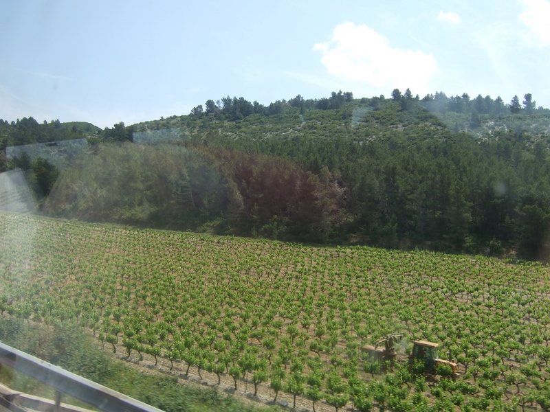 francja583.jpg