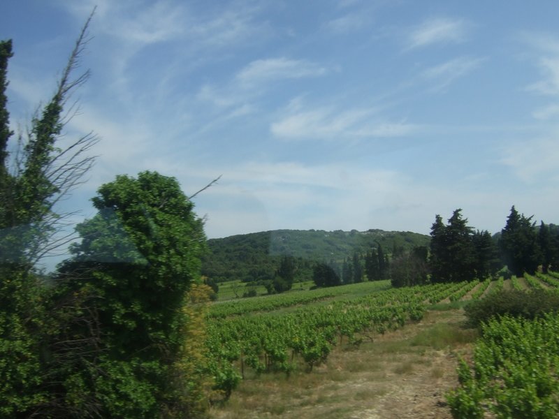 francja586.jpg