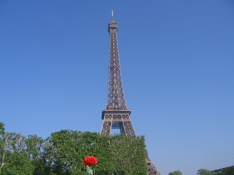 img_9665.jpg