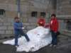 img_9830_small.jpg