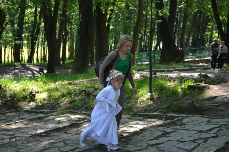 dsc_0309.jpg