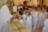 dsc_0351_small.jpg