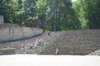 dsc_0580_small.jpg