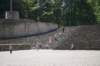 dsc_0581_small.jpg