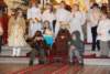 dsc_0178_small.jpg
