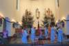 dsc_0137_small.jpg