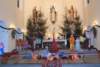 dsc_0210_small.jpg