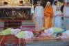 dsc_0258_small.jpg
