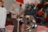 dsc_0028_small.jpg