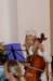 dsc_0034_small.jpg