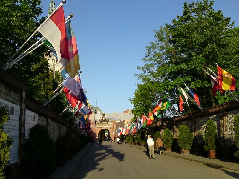 p120509_1852.jpg