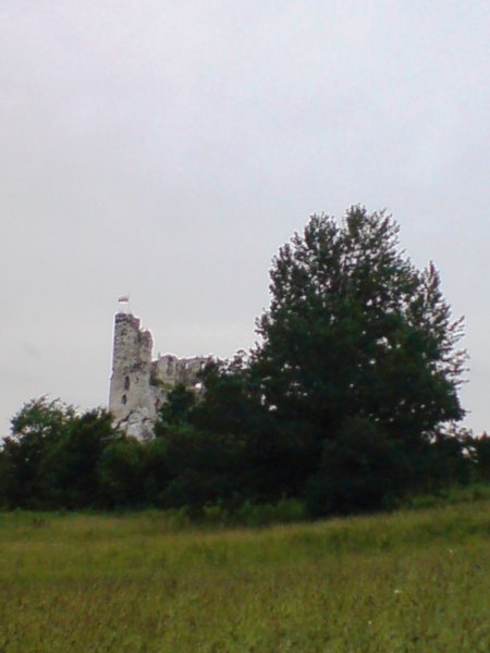 dsc01068.jpg