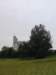 dsc01068_small.jpg