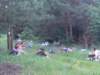 dsc01093_small.jpg