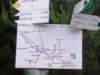 dsc01098_small.jpg