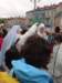 dsc01124_small.jpg
