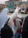 dsc01125_small.jpg