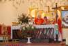 dsc_0086_small.jpg