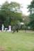 dsc_0290_small.jpg