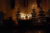 dsc_0155_small.jpg