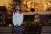 dsc_0018_small.jpg