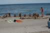 img_0170_small.jpg