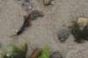 img_0505_small.jpg