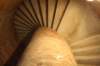 img_0075_small.jpg