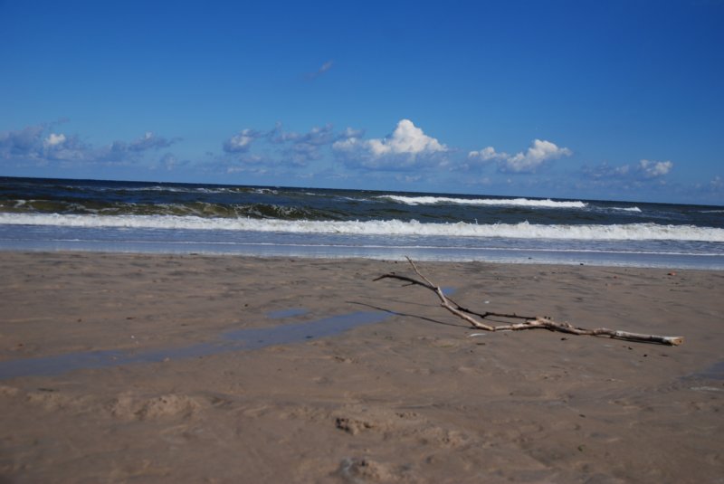 dsc_4840.jpg