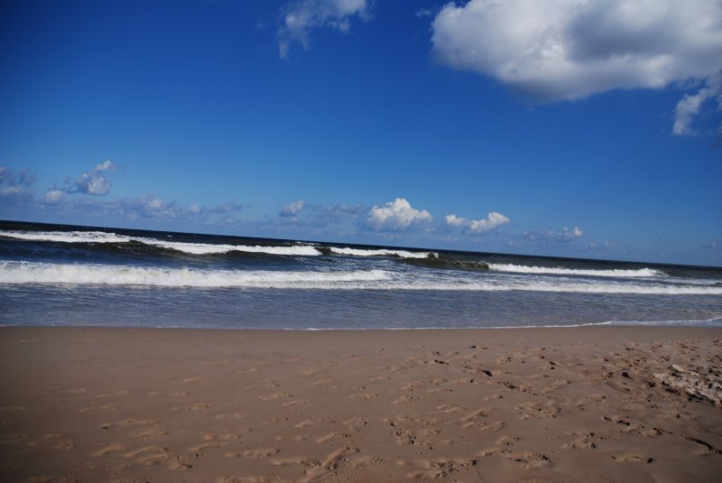 dsc_4846.jpg