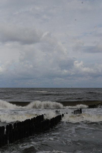 dsc_4966.jpg