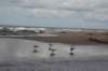 dsc_5073_small.jpg