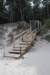 dsc_5143_small.jpg
