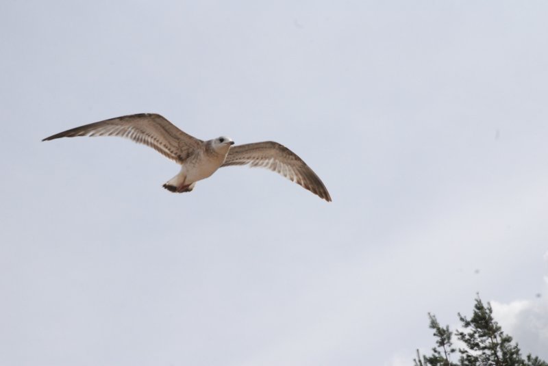 dsc_5163.jpg