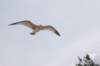 dsc_5163_small.jpg