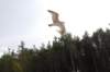 dsc_5164_small.jpg
