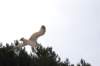 dsc_5165_small.jpg