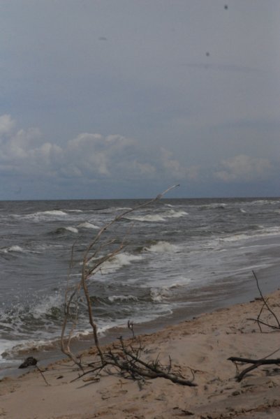 dsc_5189.jpg