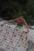 dsc_5297_small.jpg