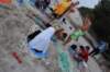 dsc_5310_small.jpg