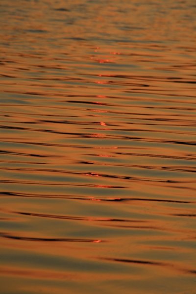 img_0668.jpg