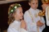 dsc_0201_small.jpg