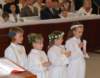 dsc_0246_small.jpg